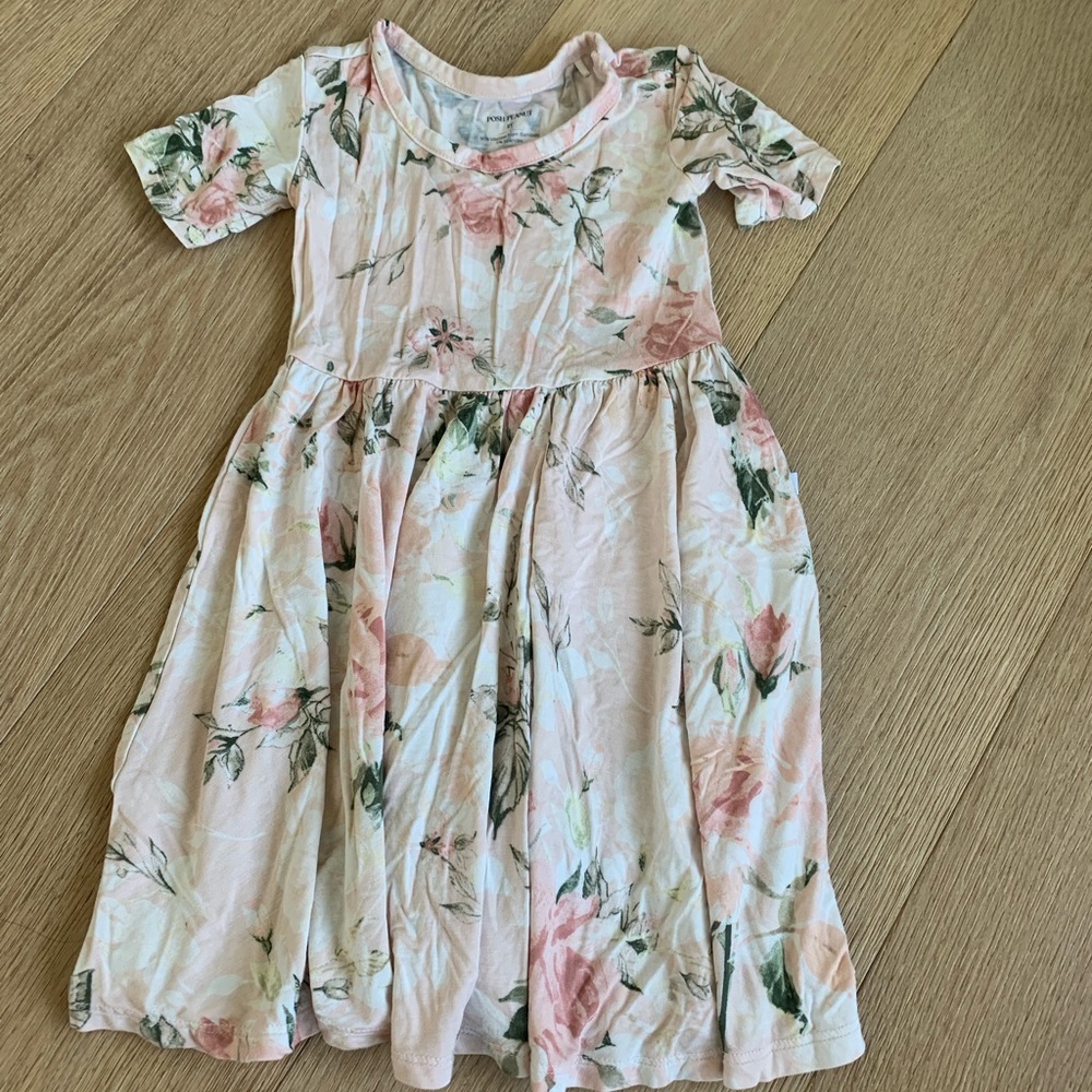 Posh Peanut 2T dress